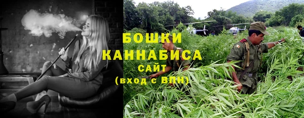 индика Лихославль