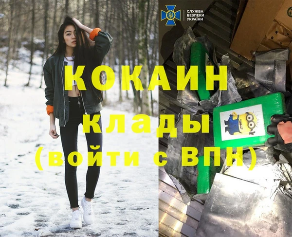 индика Лихославль
