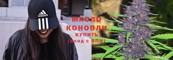 индика Лихославль